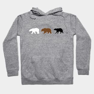 We Three Bears Hoodie